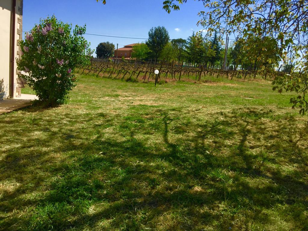 Country House Maremma Nel Tufo Питильяно Экстерьер фото