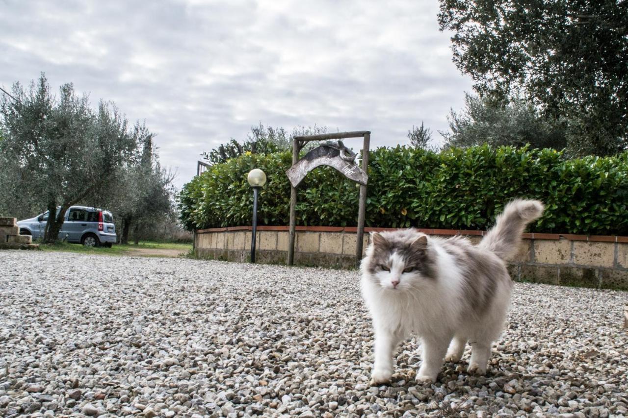 Country House Maremma Nel Tufo Питильяно Экстерьер фото